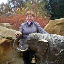 ����� ������� �� ������� ���� ����������