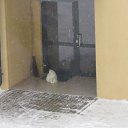 ���� �������, ���� - ��������� 20 ����� 2014 � ������ ������ ��������