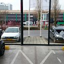 ���� �����, ������ - ��������� 28 ����� 2014 � ������ ���� ����������