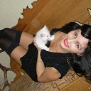 ���� ����, ������ - ��������� 18 ������ 2014 � ������ ���� ����������