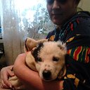 ���� ����, ���������, 46 ��� - ��������� 10 ���� 2014 � ������ �...�