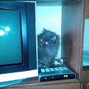 ���� �������, ���������, 51 ��� - ��������� 22 ������� 2014 � ������ ���� ����������