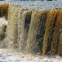 ���� ����������, ������� ��������, 63 ���� - ��������� 22 ���� 2014 � ������ ���������� �����-����������