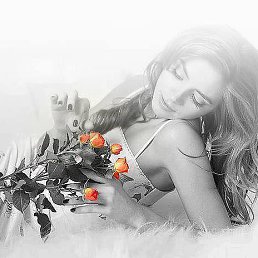 ���� �������, �����-��������� - ��������� 24 ���� 2014