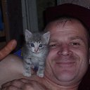 ���� ������, ������������, 47 ��� - ��������� 13 ������ 2014