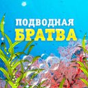 ���� ����� ��������, �������� - ��������� 6 ���� 2014 � ������ ��ѻ