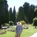  , , 62  -  11  2014   . . 2014