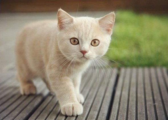  :3