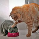 ���� ����, ����������, 47 ��� - ��������� 2 ��� 2014 � ������ ������ ��������