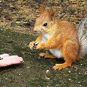 ���� ����������, ������� ��������, 63 ���� - ��������� 7 ���� 2014 � ������ �� ���� ���������