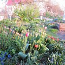 ���� ����������, ����������� - ��������� 24 ������ 2014 � ������ ������ 2014 ��Ļ