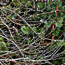 ���� ������� �., ����� - ��������� 5 ������ 2014 � ������ ������