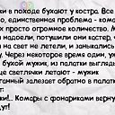 ���� ����, �����-��������� - ��������� 9 ������ 2014 � ������ ������ ��������