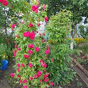 ��� ��������� ����!!!! �� ������� ���� ����������