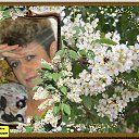 ���� ������ �����, �����������, 66 ��� - ��������� 3 ��� 2014 � ������ ���� ����������