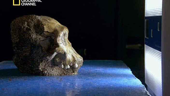 ,    . (The 2 million year old boy)      ... - 3