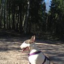  Roxanne, - -  20  2014   --