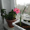 ���� ������, ������, 59 ��� - ��������� 17 ����� 2014 � ������ ������ ��������