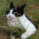 ���� Vlad, �������, 47 ��� - ��������� 15 ������ 2014 � ������ ���� ����������