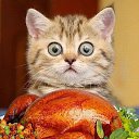 ���� ������, ������� - ��������� 16 ���� 2014