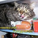 ���� Cshohkolad, ������ - ��������� 10 ���� 2014 � ������ ������ ��������