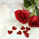 ���� ���������, �����, 85 ��� - ��������� 19 ������� 2014 � ������ ���� ����������