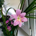 ���� ����, �����, 37 ��� - ��������� 18 ���� 2014 � ������ ������ ��������