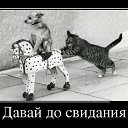 ���� �������, ���������, 38 ��� - ��������� 31 ��� 2014 � ������ ���� ����������