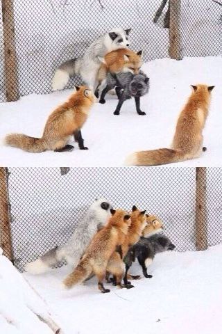  - 24  2014  20:20 - 2