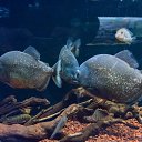  , , 46  -  24  2014      &quot; &quot;