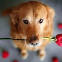 ���� �����, ������, 38 ��� - ��������� 12 ���� 2014 � ������ ���� ����������