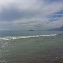 ���� Demir, ������� - ��������� 17 ���� 2014 � ������ ���� ����������