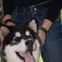 ���� ��������, ���, 42 ���� - ��������� 21 ��� 2014 � ������ ���� ����������