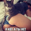 ���� ����, ������-��-����, 44 ���� - ��������� 22 ���� 2014 � ������ ������ ��������