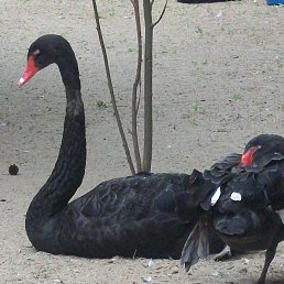 ���� ���������, ����-������ - ��������� 3 ���� 2014