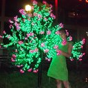 ���� �����, ���������, 42 ���� - ��������� 27 ���� 2014 � ������ ���� ����������