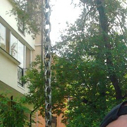 ������, ����������, 57 ���