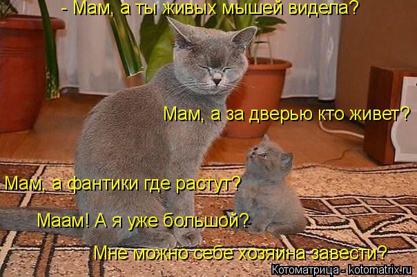 Marina - 13 ���� 2014 � 07:24