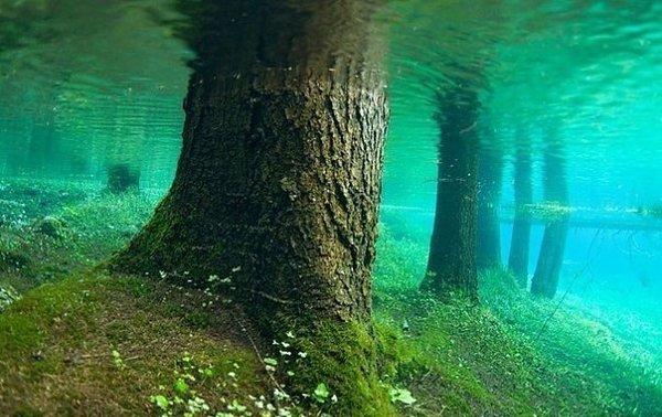 Подписывайтесь на нас: http://fotostrana.ru/public/233467 ;-) Необычное зеленое озеро В Австрии есть ... - 7