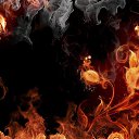 ���� �.�., �������� - ��������� 8 ���� 2014 � ������ �N�