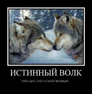 �������� ����� - 24 ���� 2014 � 11:02