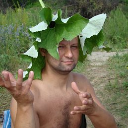 ���� ������, ������� - ��������� 7 ��� 2014