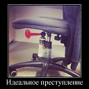 ���� ��������, ������������, 61 ��� - ��������� 21 ������� 2014 � ������ ������ ��������