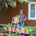 ���� �����, �������������, 58 ��� - ��������� 23 ���� 2014 � ������ ���� ����������