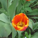 ���� �������, �������������� - ��������� 19 ��� 2014 � ������ ������ ��������