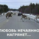 ���� ����������, �����������, 34 ���� - ��������� 22 ����� 2014 � ������ ������ ��������