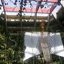 �������� ������� ��� �� ������� ���� ����������