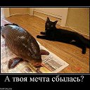 ���� ��������, ������-��-����, 64 ���� - ��������� 13 ���� 2014 � ������ ������ ��������