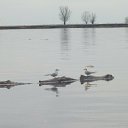 ���� �������, �����-��������, 53 ���� - ��������� 18 ���� 2014 � ������ ����� ������� � ����