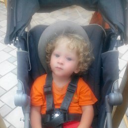 ������ ������